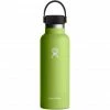 Hydro Flask Standard Mouth Bottle with Standard Flex Cap 532ml seagrass -Cheap Water Bottles Store hydro flask standard mouth bottle with standard flex cap 532ml seagrass 1