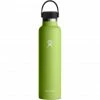 Hydro Flask Standard Mouth Bottle with Standard Flex Cap 709ml seagrass -Cheap Water Bottles Store hydro flask standard mouth bottle with standard flex cap 709ml seagrass 1